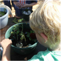 Gardening Classes and Workshops at Pine Hill